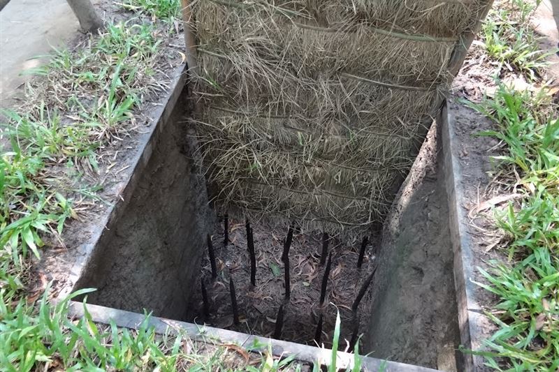 Cu Chi Tunnels Small Group Half-Day Tour from Ho Chi Minh City